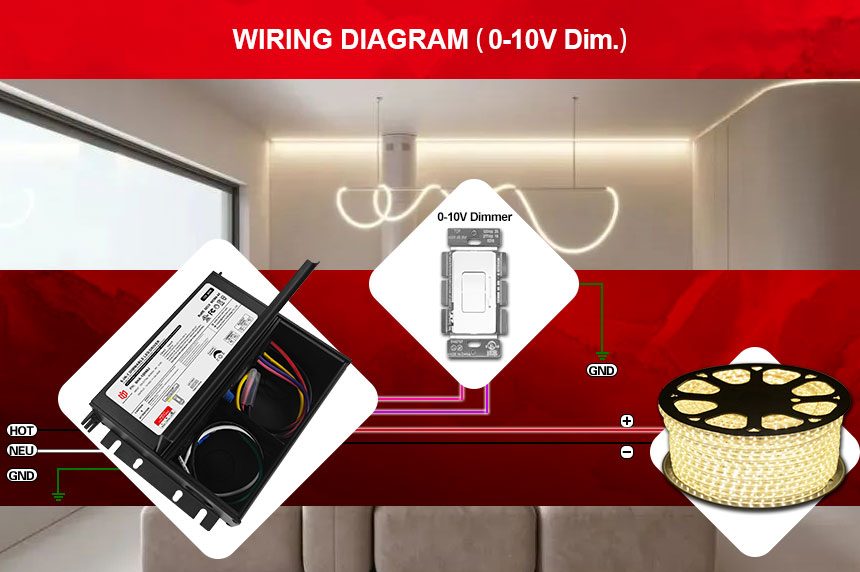 Driver LED dimmable 12 volts